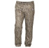 Bottomland