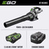 EGO Power+ LB5302 110 mph 530 CFM 56 V Battery Handheld Leaf Blower Kit