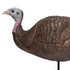 Primos Lil Gobbstopper Hen Turkey Decoy