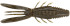 Rapala CrushCity Bronco Bug 4 Green Pumpkin Bait