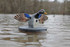 Mojo Mallard Elite Series - Drake Floater with Remote
