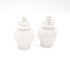 8 Oak Lane White Textured Jar Salt & Pepper Shaker Boxed Set