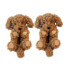 Ooooh Yeah Coco The Doodle Slippers