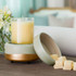 Candle Warmers Etc. Midas 2-In-1 Classic Fragrance Warmer Candle Warmers Etc. Midas 2-In-1 Classic Fragrance Warmer