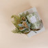 Green Leaf Willow & Sage Sachet