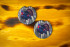 Scent South Turkey Car Coasters