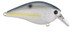 Lucky Craft LC 1.5 Squarebill Crankbait – Sexy Chartreuse Shad