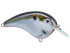 Strike King The Chick Magnet Flat-Sided Crankbait - Natural Shad