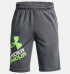 Under Armour Boys' UA Prototype 2.0 Logo Shorts-Pitch Gray/Quirky Lime