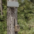 Moultrie 3.4W Solar Power Pack II Moultrie 3.4W Solar Power Pack II