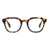 Peepers Neon Tortoise Blue Light Reading Glasses - Tortoise