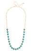Canvas Albuquerque Half Linked Necklace in Turquoise