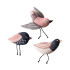 Petshop Cat Toy Under My Wings