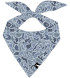 Local Boy Dog Bandana - Distressed LCF Cobalt