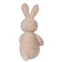 Mary Meyer Sweet Dreams Bunny Soft Toy