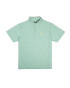 Breezy Golf Men's The Green Magnolias Polo