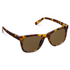 Peepers Harbor Bifocal Sun Reading Sunglasses - Tortoise
