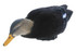 Avian X Power Shaker Black Duck Feeder Motion Duck Decoy