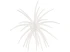 Hag's Prickly Pear 19mm Creature Bait