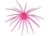 Hag's Prickly Pear 19mm Creature Bait
