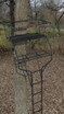 Big Game® Guardian XLT 18' 2-Person Ladder Treestand