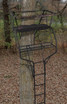 Big Game® Guardian XLT 18' 2-Person Ladder Treestand