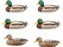 Rig 'Em Right Fully Flocked Mallard Duck Decoy, 6 Pack