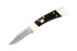 Buck Knives Ranger Auto Ebony Handle Knife