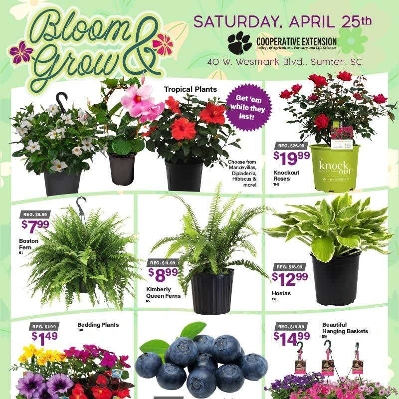 Spring is Calling Easter Sale