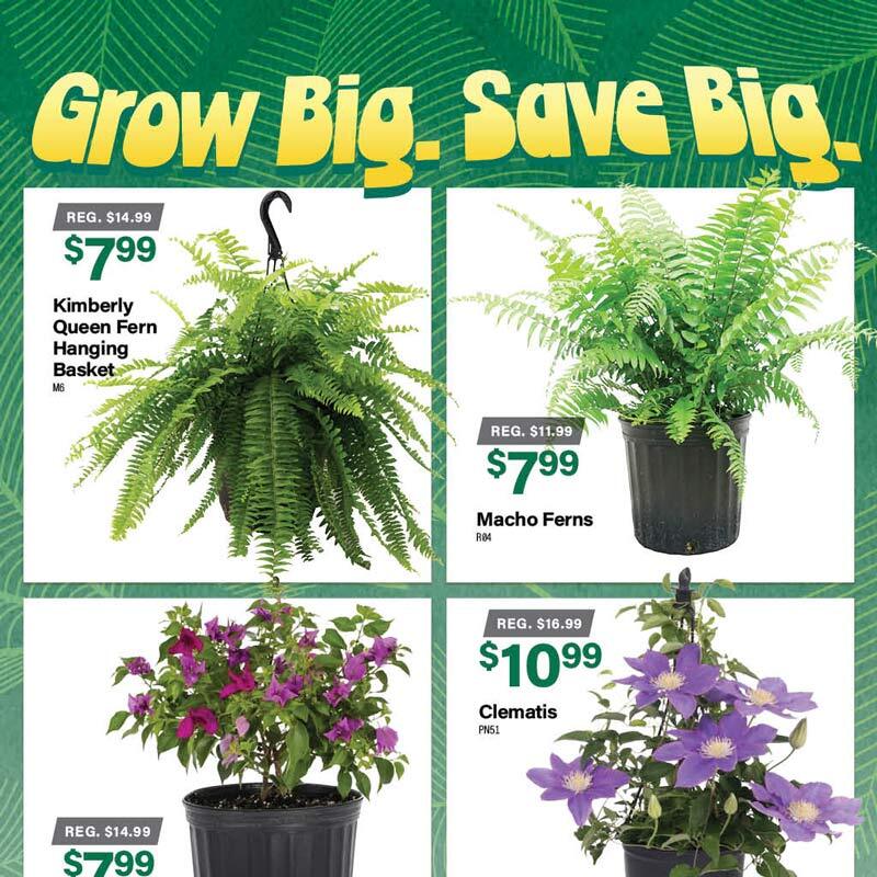 Better Blooms Start Here: Sale on fertilizers through 6/20