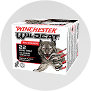 .22 Long Rifle Ammunition