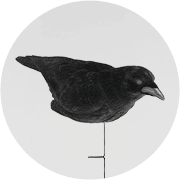 Crow Decoys