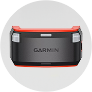 Electronic Dog Training