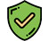 Secure Icon