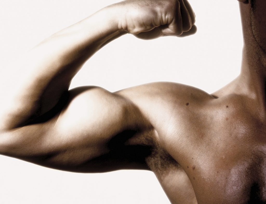 Plant vs Animal Proteins: What's The difference?