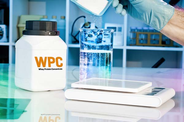 What makes a high-quality Whey Protein Concentrate?