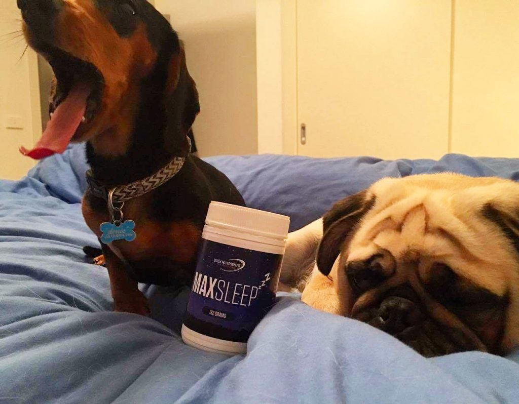 Max Sleep - Your New Bedtime Buddy