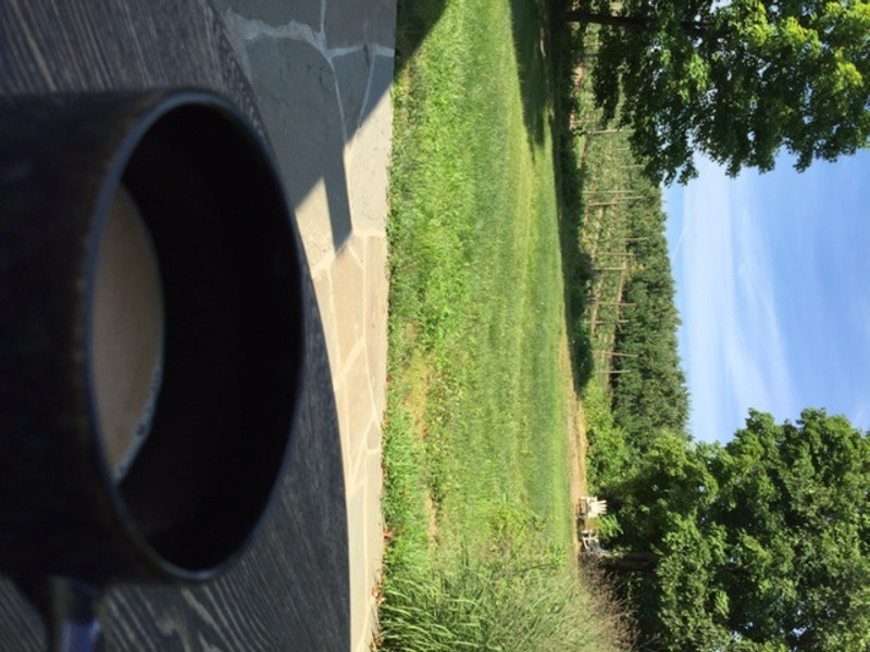 Coffee With A View