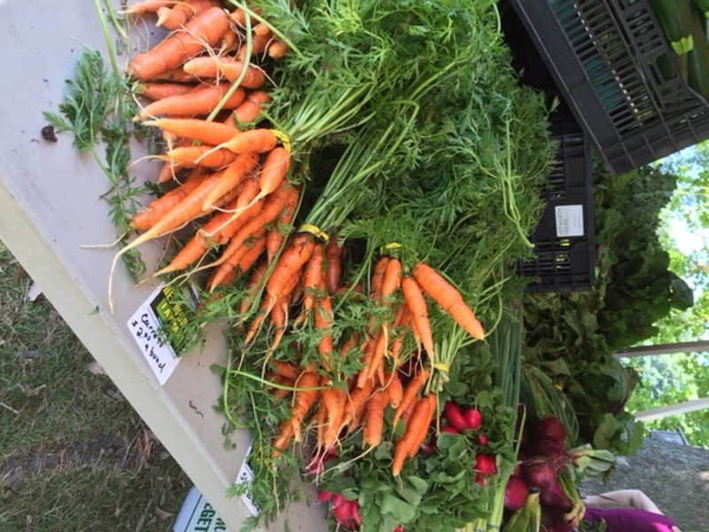 Market Day