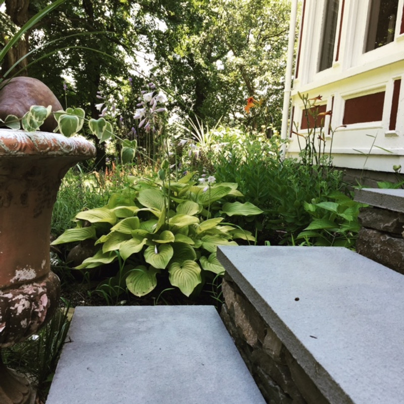 Stoop Sitting, Rural Style