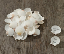 Natural Signing Shells
