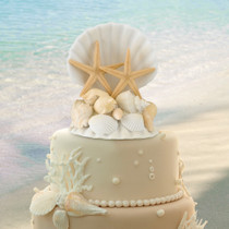 Coastal Cake top