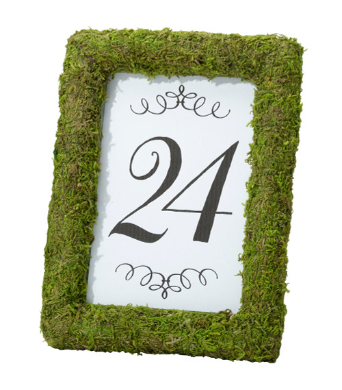 Moss 4x6 Table Frame