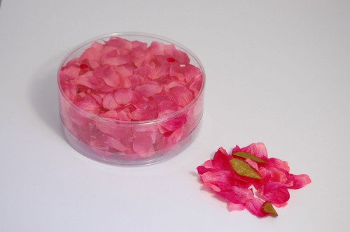 Flower Petal Box 554 x Delphinium Hot Pink