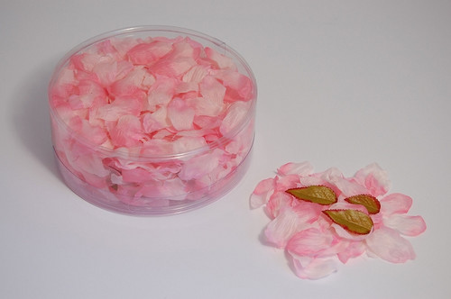 Flower Petal Box 554 x Delphinium Pink