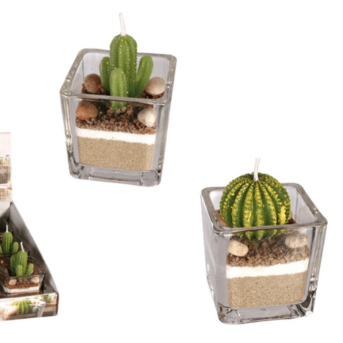 Cactus Candle in Glass