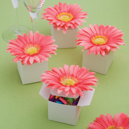 Perfectly Plain Collection Classy Pink Gerbera Daisy Adorned Box Favours