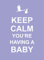 Keep Calm you're Having A Baby Book