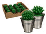 Cactus Candles in Metal Pot Favours