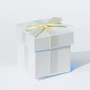 6 x Ivory Pearlised Box With Ivory Ribbon And Tissue Paper